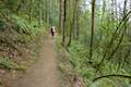 Marquam Trail Hike Portland