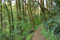 Marquam Trail Hike Portland