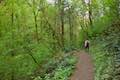 Shelter Loop Trail Marquam Nature Park