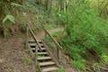Shelter Loop Trail Marquam Nature Park