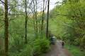 Shelter Loop Trail Marquam Nature Park