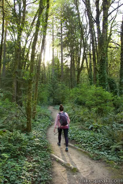 Marquam Trail Hike Marquam Nature Park