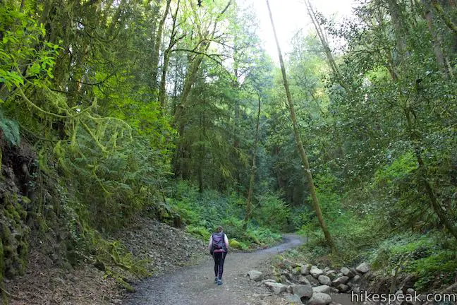 Marquam Nature Park Shelter Loop Trail