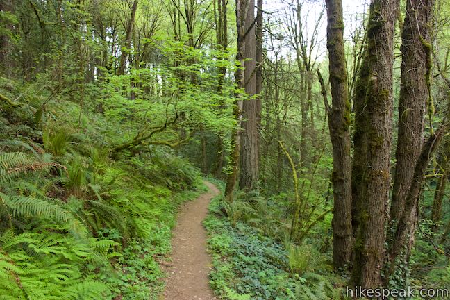 Upper Marquam Hill Trail Marquam Nature Park