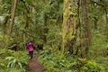Old Salmon River Trail Hike