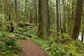 Old Salmon River Trail Mount Hood National Forest