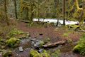 Old Salmon River Trail Oregon