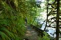 Hiking Old Salmon River Trail