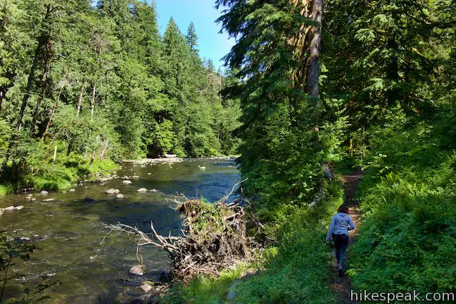 Old Salmon River Trail Hike