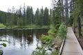 Trillium Lake Boardwalk