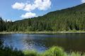 Trillium Lake Dam