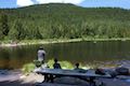 Trillium Lake Picnic Area