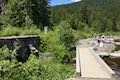 Trillium Lake Dam Trail