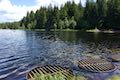 Trillium Lake Dam