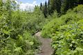 Trillium Lake Trail