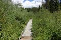 Trillium Lake Boardwalk