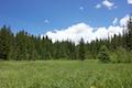 Trillium Lake Trail