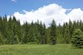 Trillium Lake Trail