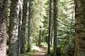 Trillium Lake Trail