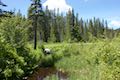 Trillium Lake Trail Viewpoint