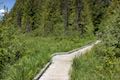 Trillium Lake Boardwalk