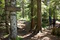 Trillium Lake Trail