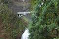 Multnomah Falls