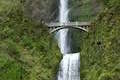 Multnomah Falls Trail