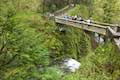 Multnomah Falls Trail