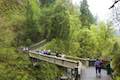 Multnomah Falls Trail