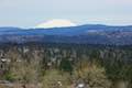 Mount Saint Helens View