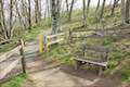 Mountain View Trail Powell Butte