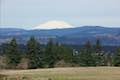 Mount Saint Helens View