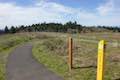 Mountain View Trail Powell Butte