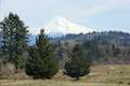 Mount Hood Powell Butte Summit