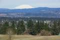 Mount Saint Helens View