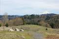 Summit Lane Viewpoint Powell Butte