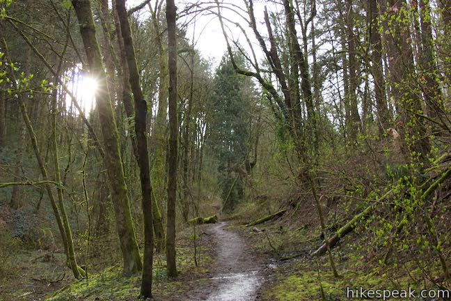 George Himes Trail Portland