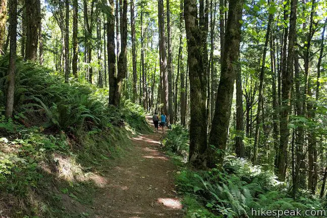 Scouters Mountain Hike Boomer Trail