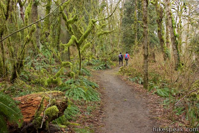 Middle Creek Trail Tryon Creek