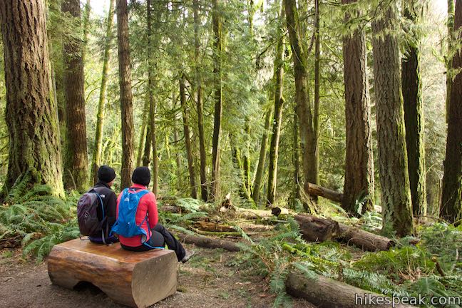 Old Main Trail Bench Tryon Creek