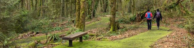 Ruth Pennington Trillium Trail Loop Hike Nature Trail Tryon Creek State Natural Area Portland Oregon