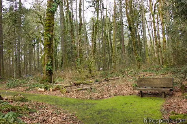 Trillium Trail Bench Tryon Creek