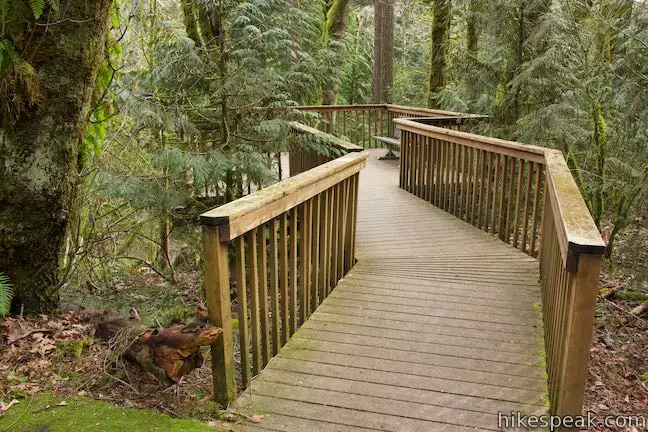 Trillium Trail Viewing Deck