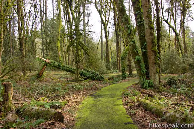 Trillium Trail Loop