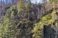 Wahclella Falls Trail Columbia River Gorge