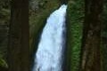 Wahclella Falls Trail