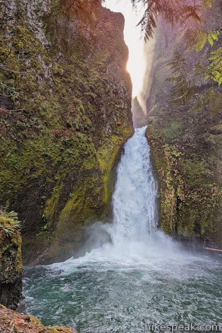 Wahclella Falls Trail Oregon Hikespeak
