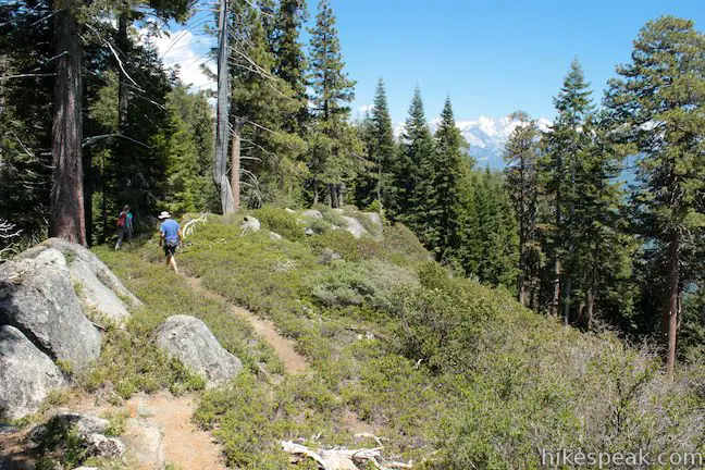 Bobcat Point Trail in Sequoia National Park