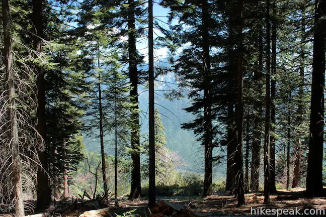 Bobcat Point Trail in Sequoia National Park